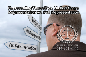 What are you most comfortable with: Representing Yourself vs. Limited Scope Representation vs. Full Representation?