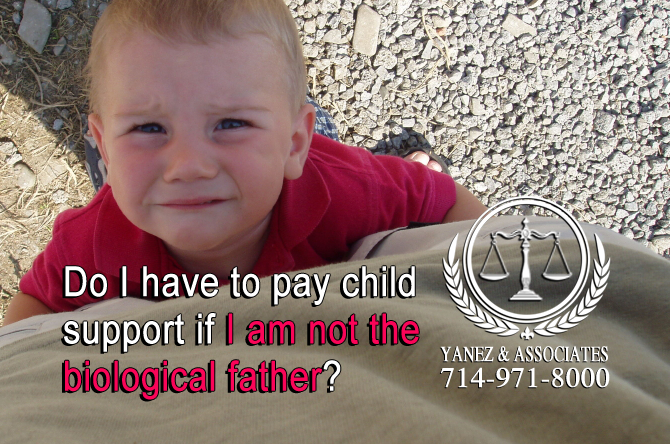 Do I have to pay child support if I am not the biological father orange county ca