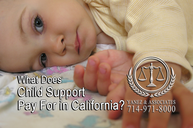 What Does Child Support Pay For in California?