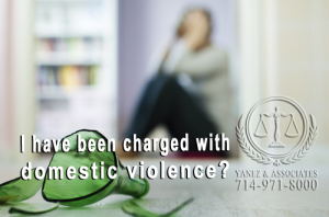 I have been charged with domestic violence in Orange County, now what?