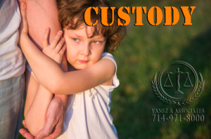 Are the child custody and visitation decisions being made in the best interest of the child?