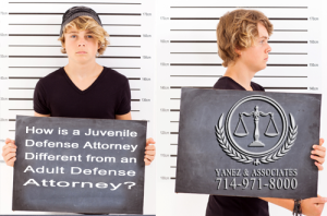 How is a Juvenile Defense Attorney Different from an Adult Criminal Defense Attorney?