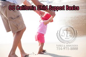 Orange County & Los Angeles California Child Support Basics