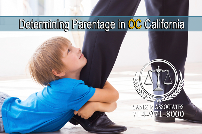 etermining Parentage in OC California