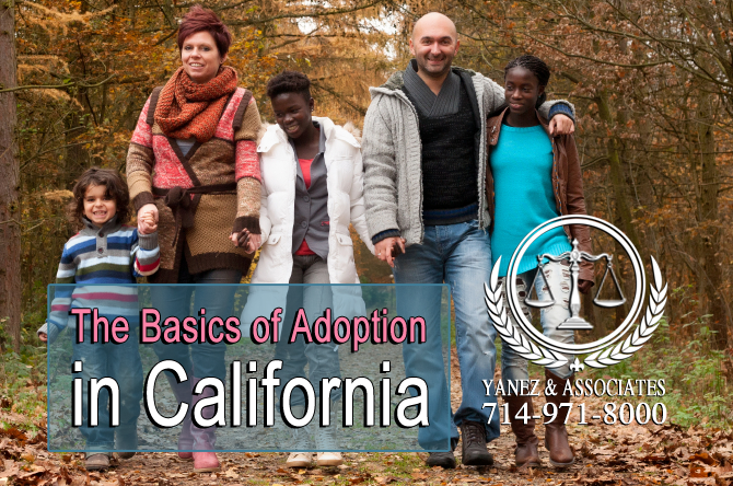 The Basics of Adoption in California