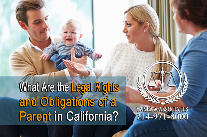 What Are the Legal Rights and Obligations of a Parent in California?