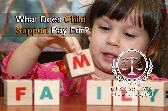 What Does Child Support Pay For?
