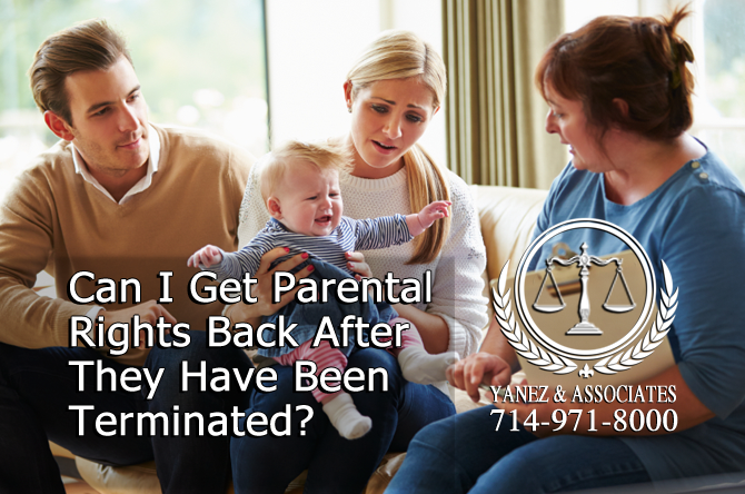 Can I Get Parental Rights Back After They Have Been Terminated?