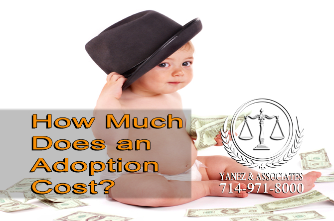 How Much Does an Adoption Cost?