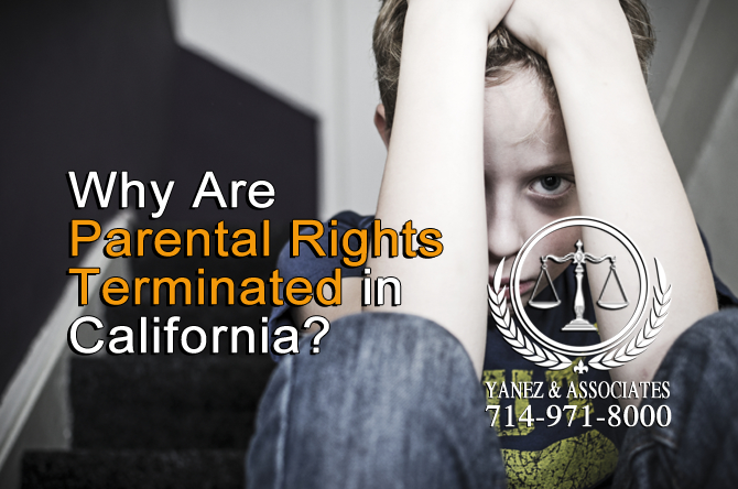 Why Are Parental Rights Terminated in California?