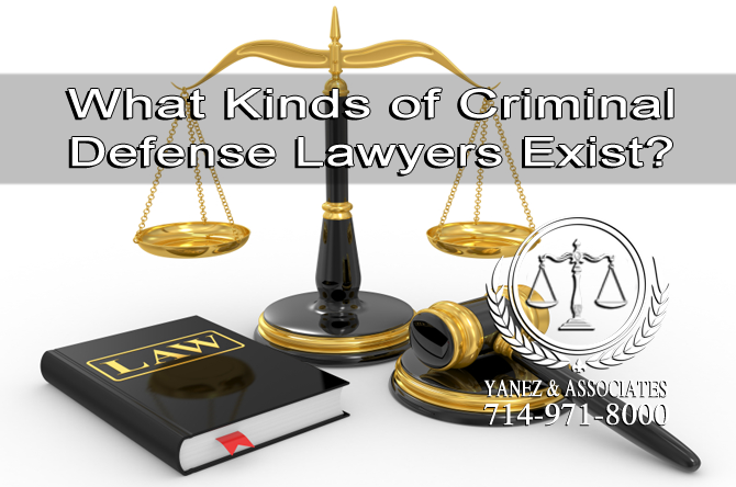 What Kinds of Criminal Defense Lawyers Exist?