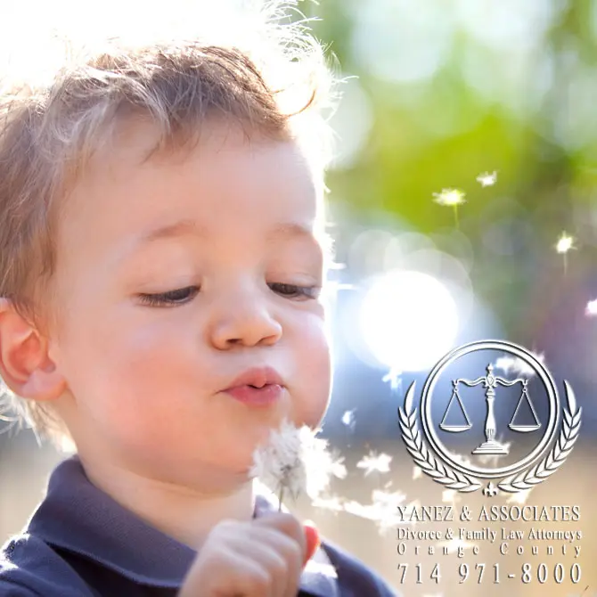 Understanding Grandparents Rights in Orange County CA