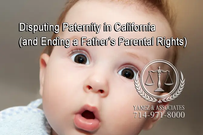 What Happens After Parental Rights Are Terminated? | paternity attorney in Orange County